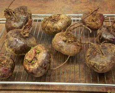 Frikadellen von der Roten Beete