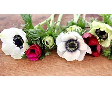 Blumenabos im Test: Teil 1 – Bloomy Days