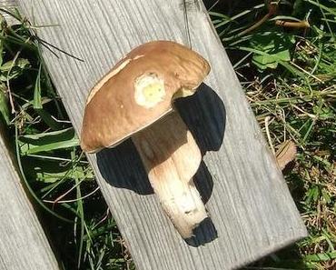 Gerüchteküche-Küchengerüchte