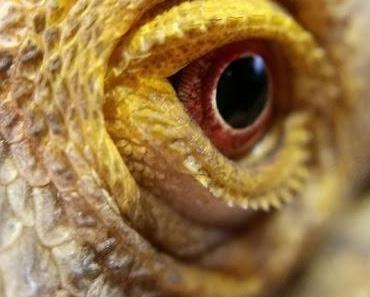 Galaxografie | mittwochs mag ich [mmi]