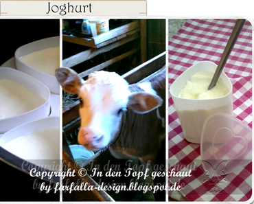 In den Topf geschaut * Joghurt