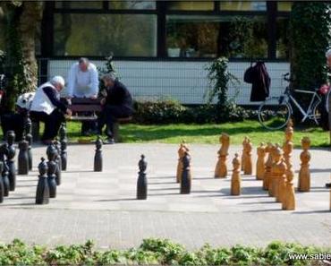 Der Schachspieler und sein großes Glück