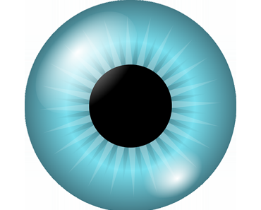 Das menschliche Auge – Anatomie und Sehfunktion
