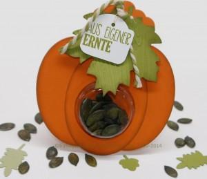 Anleitung für einen Kürbis mit Kernen