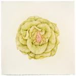 Aurel Schmidt – Fruits