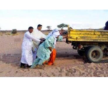 Sahara, Sand und Abscheu