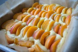 Aprikosenkuchen / Marillenkuchen