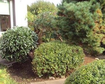 Garten(arbeit)… und wieder ein gutes Stück weiter ツ