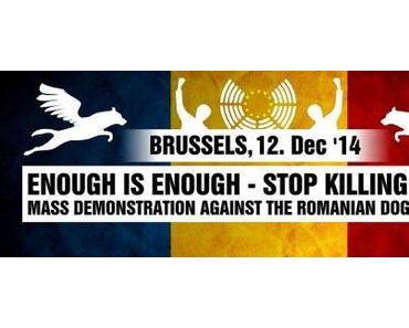 BRUSSELS - MASS DEMONSTRATION - STOP KILLING DOGS !