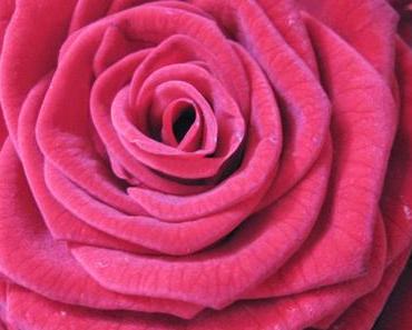 Wie ich meine Arbeit sehe