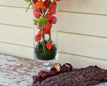 Natürliche Lampions  #Autumn Decoration Vol.2