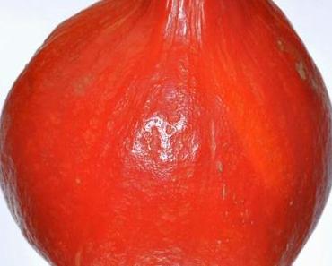 Baden kann man fast überall, manchmal auch im Bier