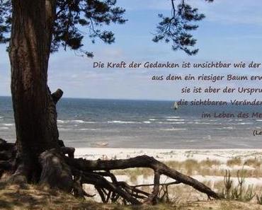 Von der Hoffnung, wo eigentlich nichts zu hoffen ist!