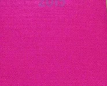 Produkttest Chronobook Colour Edition in Pink by Avery Zweckform