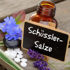 Schüßler-Salze – ERGÄNZUNGSMITTEL (Nr. 13 – 24)