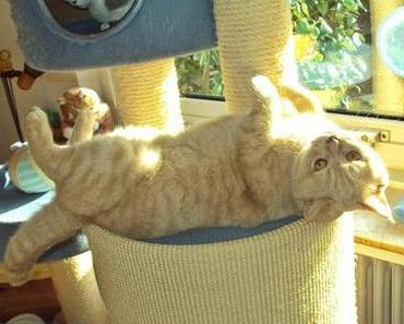 Einfach ein paar Bilder ツ