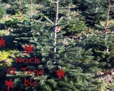 Mein Photo der Woche # 11 – oder – MPW # 11