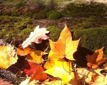 Es ist Herbst
