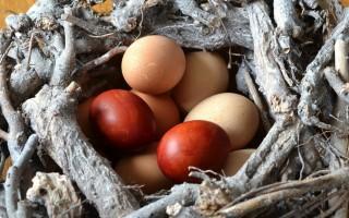 Rezept: Pawel’s Viererlei vom Ei – Meine Omelette Variationen für Dich