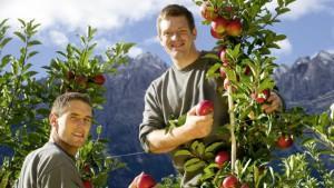 Traditionelles Schnapsbrennen am Kuenz-Hof