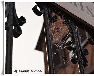 Alle Jahre wieder....