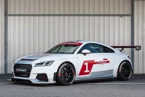 Qual der Wahl im Audi Sport TT Cup