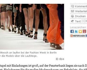 HAZ-Bericht über Blogger