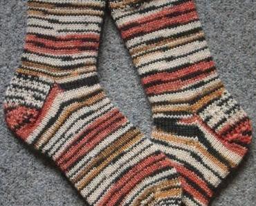 die ersten des Jahres ....