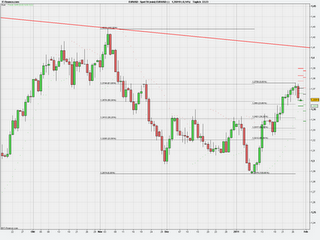 FX EUR/USD Trade 28.01.2011