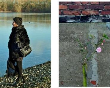 Another year older…