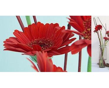 Farbrausch & Blumenfreitag am Samstag