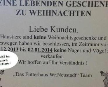 Haustiere sind keine Weihnachtsgeschenke