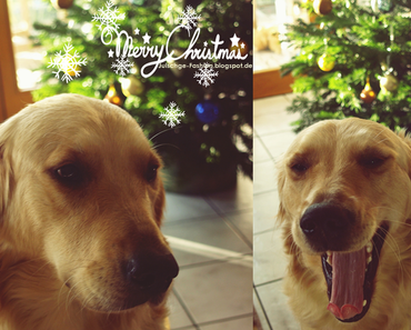 Merry Christmas to everyone ♥