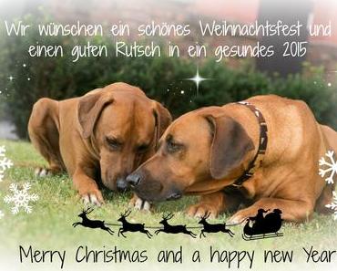 Frohes Fest und einen guten Rutsch!