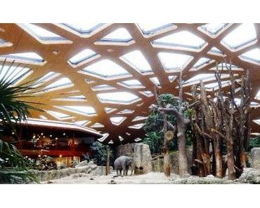 grosse Hallen im Züri Zoo
