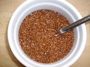 Quinoa Pflanze – Die Alternative