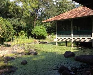 Auroville am Scheideweg