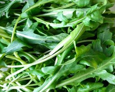 Blattgrün & Chlorophyll