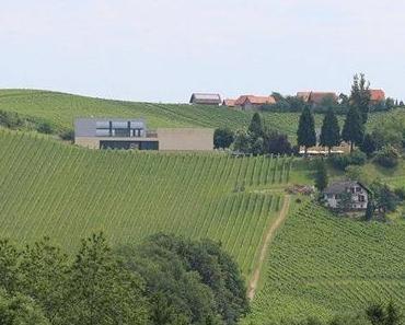 Verkostung Weißwein – Weingut Brolli-Arkadenhof – Sauvignon Blanc Obereckberg 2008