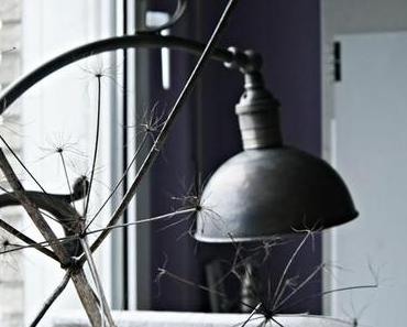 Projekt Fotostudio ... und Terrassengarten