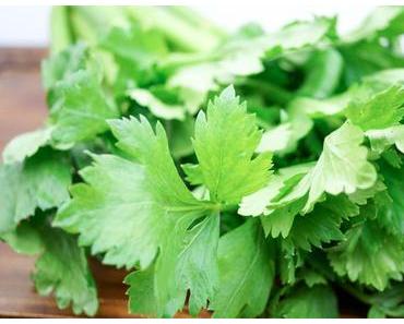 Sellerie – Die Sexpflanze