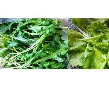 [Gastbeitrag] Salatvielfalt - Gesund & Lecker