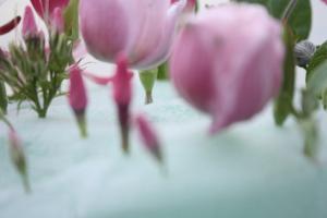 wallpaper-1689754