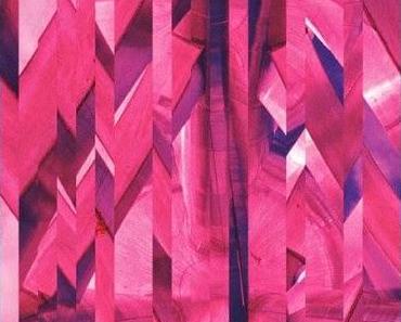 A Place To Bury Strangers: Sterbebegleitung