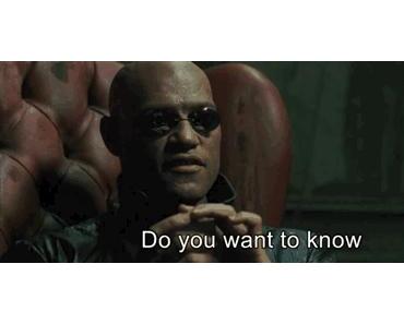 [News] Infos zum aktuellen Projekt