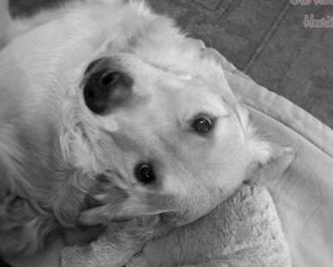 Einfach mal abhängen