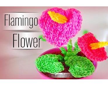 Rainbow Loom Flamingo Blume - Flower