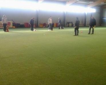 Mein 1. Start in der Hundesportart Obedience Beginners