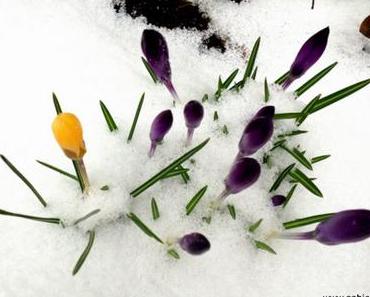 Frühlingshaft und neu – Die Coolen Blogbeiträge Woche 10/15