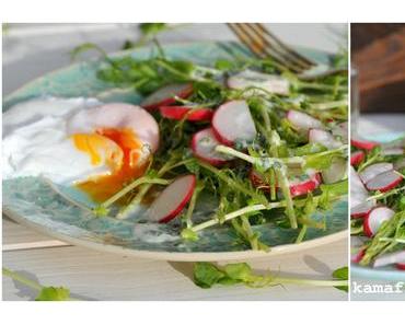 Erbsensprossen-Radieschen-Salat mit rahmigem Schnittlauchdressing und pochiertem Ei